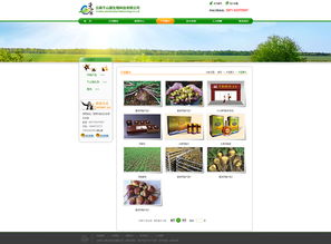 奧遠(yuǎn)科技 云南領(lǐng)先的網(wǎng)站建設(shè)與App開發(fā)技術(shù)服務(wù)商